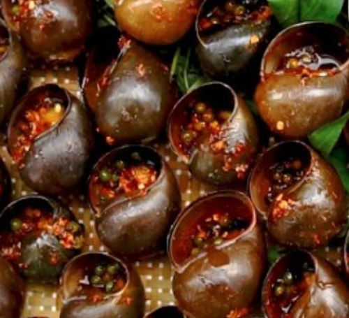 Ốc Bươu Hấp Tiêu